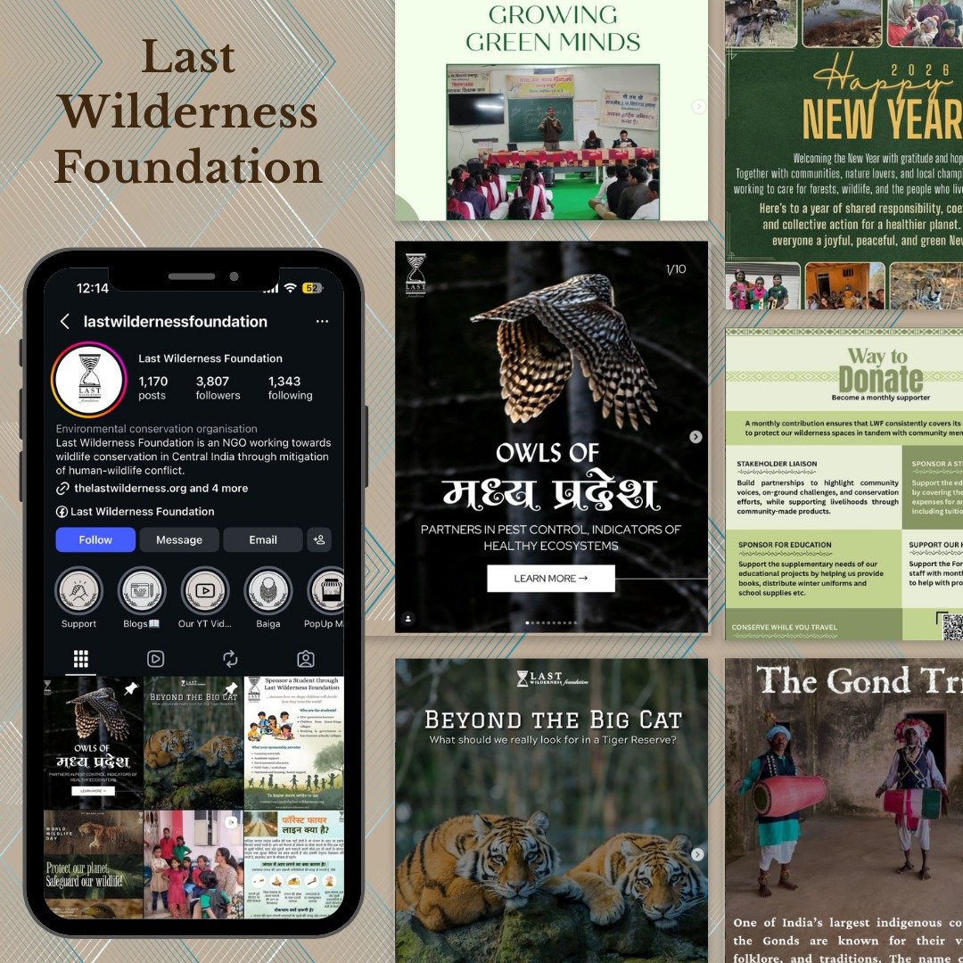 Last Wilderness Foundation