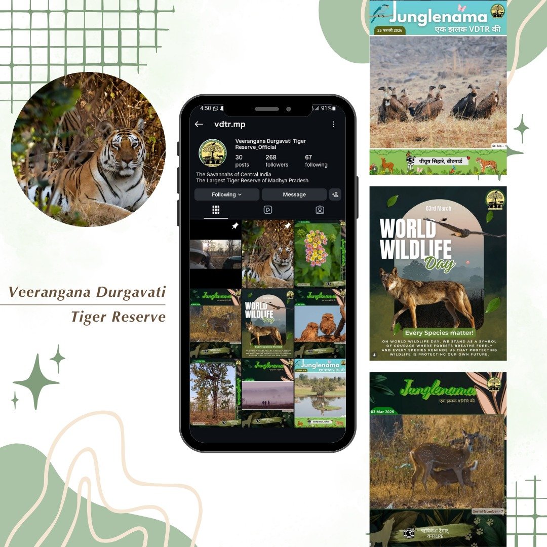 Veerangana Durgavati Tiger Reserve